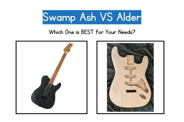Swamp Ash vs Alder wood comparison