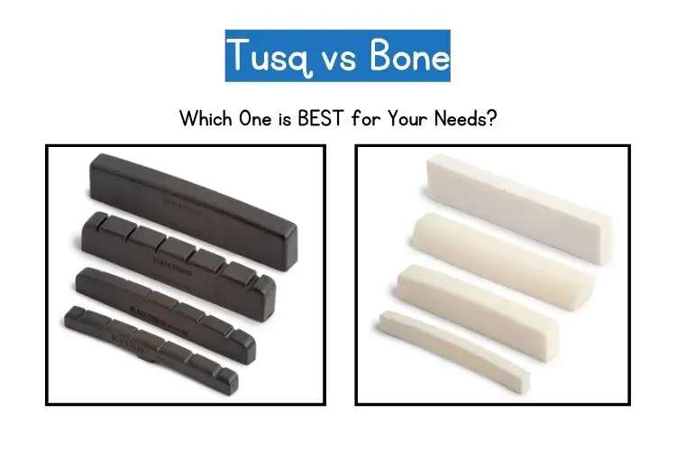 Tusq vs Bone guitar comparison