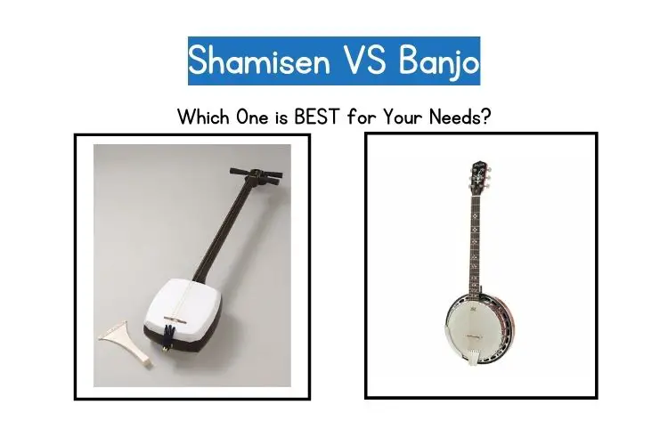 Shamisen vs Banjo