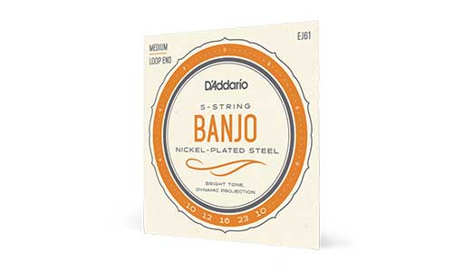 D'Addario J61 5-String Banjo