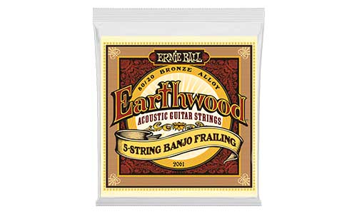 Ernie Ball Earthwood 5-string Banjo