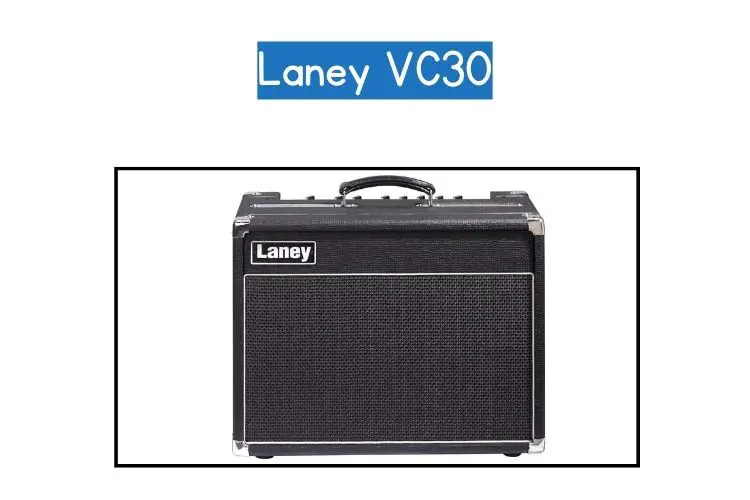 Laney vc30
