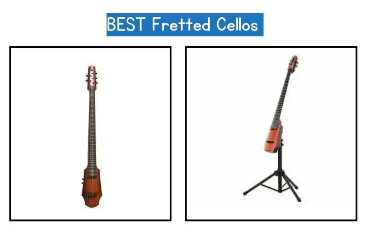 BEST Fretted Cellos