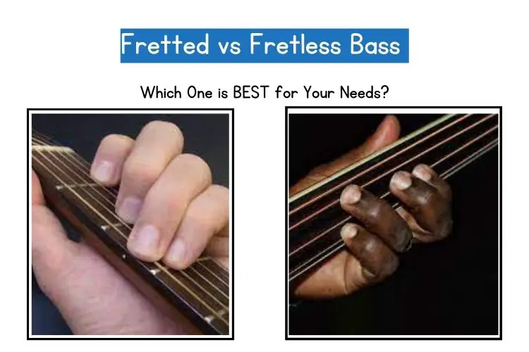 Fretted vs Fretless Bass
