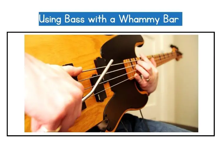 Using Bass with a Whammy Bar
