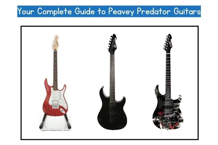 Your Complete Guide to Peavey Predator Guitars