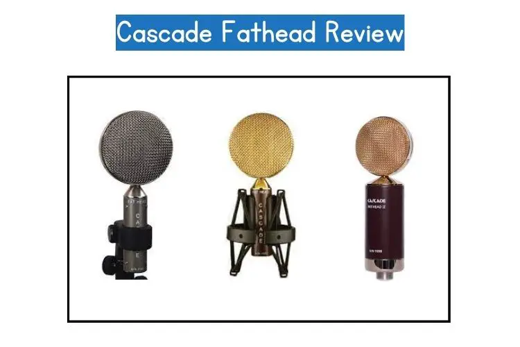 cascade fathead review