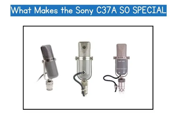 What Makes the Sony C37A SO SPECIAL